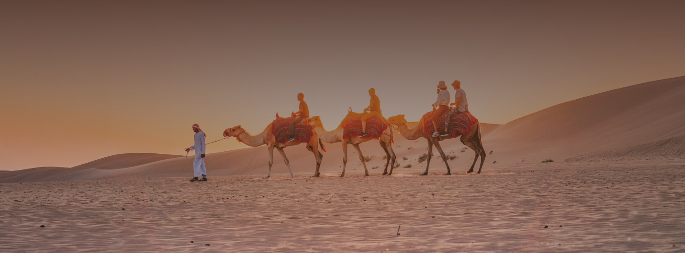 Camel caravan in the Dubai desert at sunset